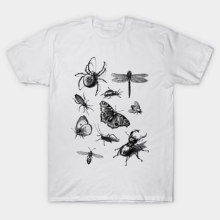 Dramabite Vintage retro scientific bugs insect collection entomologist T-Shirt